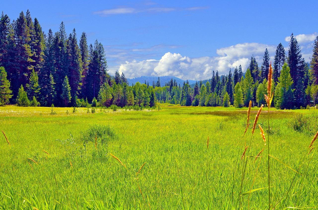 Leavenworth Camping Resort Tiny House Belle Eksteriør bilde